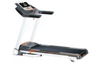 Беговая дорожка Fitex Pro DELUXE
